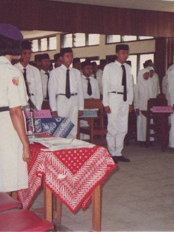 STAIN TA 1991